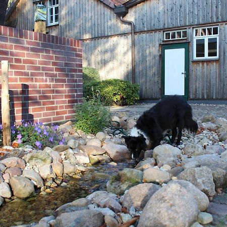 Landgasthof Wildwasser Wolthausen Bagian luar foto
