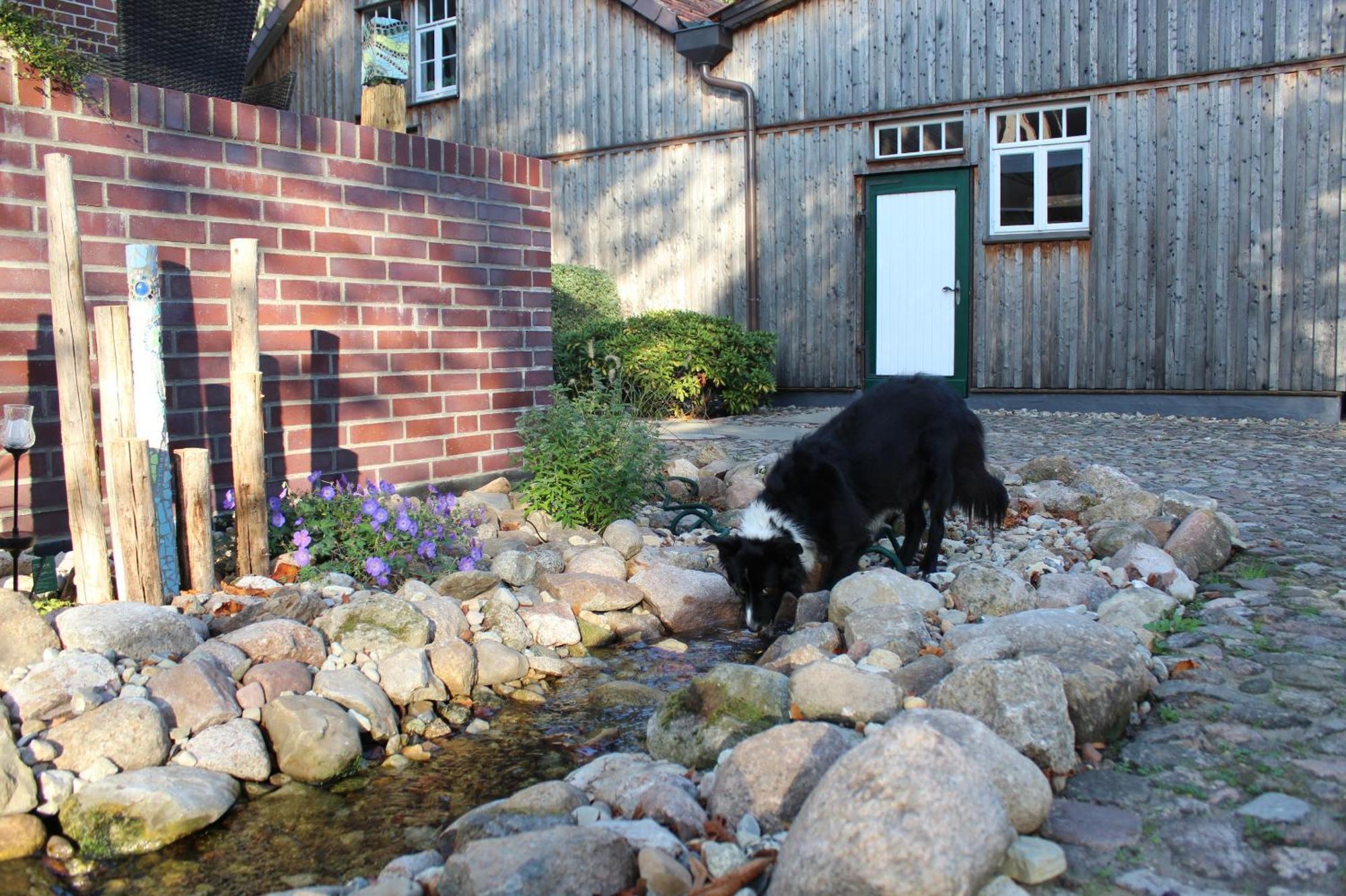 Landgasthof Wildwasser Wolthausen Bagian luar foto